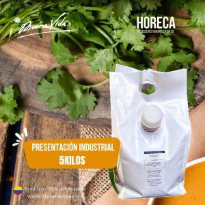 Mostaza tipo djon / bolsa x 5000cc x 2 u